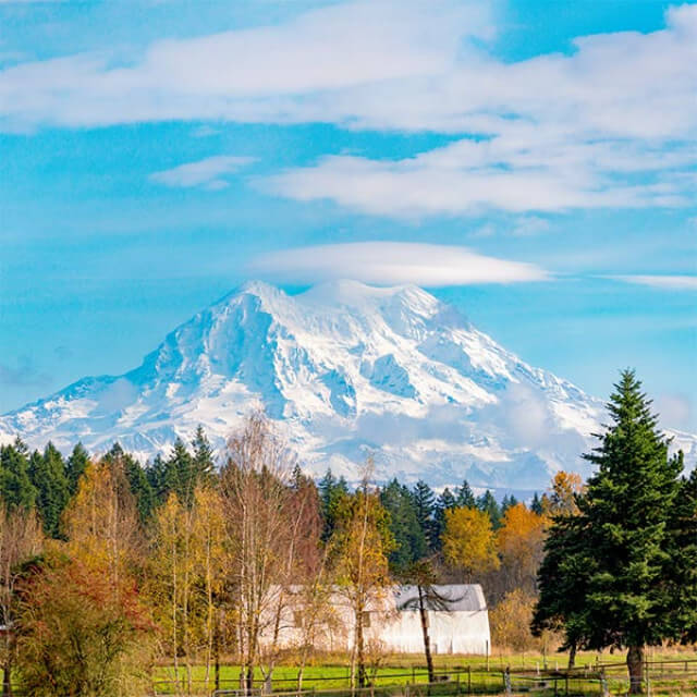 Vista do Mount Rainier de Olympia, Washington