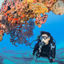 Mergulhando de snorkel em St. Croix nas Ilhas Virgens Virgens Americanas