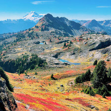 Cores brilhantes do Yellow Aster Butte em Bellingham, Washington