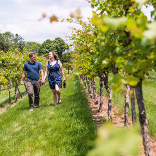 Caminhando pelas vinhas Clover Hill Winery em Breinigsville, Pensilvânia