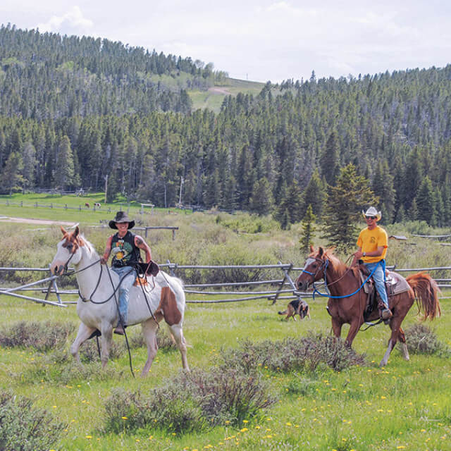 Passeio a cavalo no Buffalo Paradise Guest Ranch em Buffalo, Wyoming