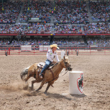 Passeio a cavalo no Cheyenne Frontier Days em Cheyenne, Wyoming