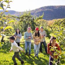 Colheita de maçãs em família na Windy Hill Farm em Great Barrington, Massachusetts